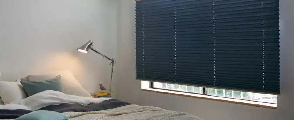 Pleated blind