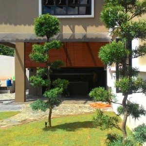 outdoor wooden blinds 1