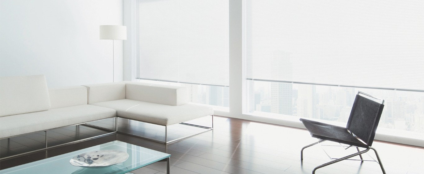 room interior with roller blinds